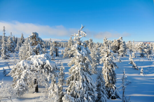 Sälen, Sverige – skiing